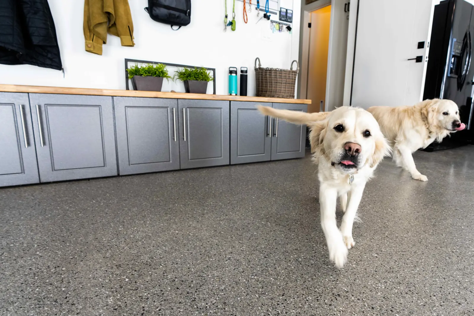 Wagner garage with dogs